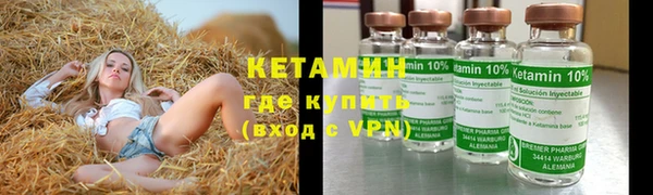 шишки Алексин