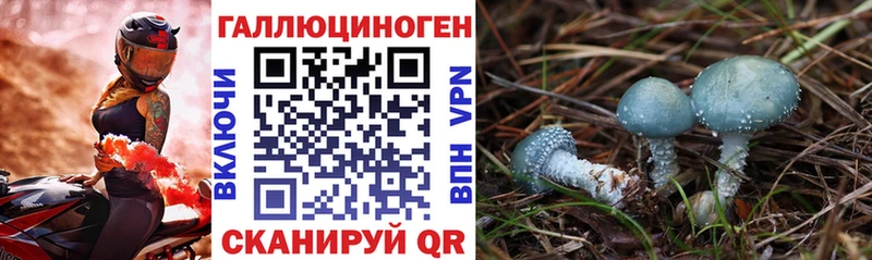 blacksprut зеркало  Дивногорск  Псилоцибиновые грибы GOLDEN TEACHER  сколько стоит 